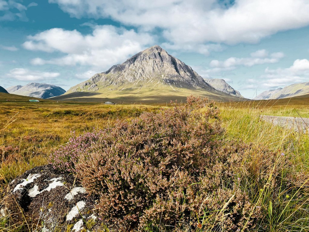 Instructions for living a life:
Pay attention.
Be astonished.
Tell about it.
